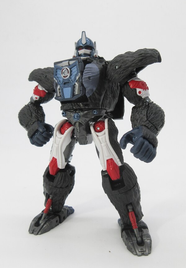 Takara Eternal Beast Showdown Optimus Primal & Megatron 2 Pack Official In Hand Image  (1 of 2)